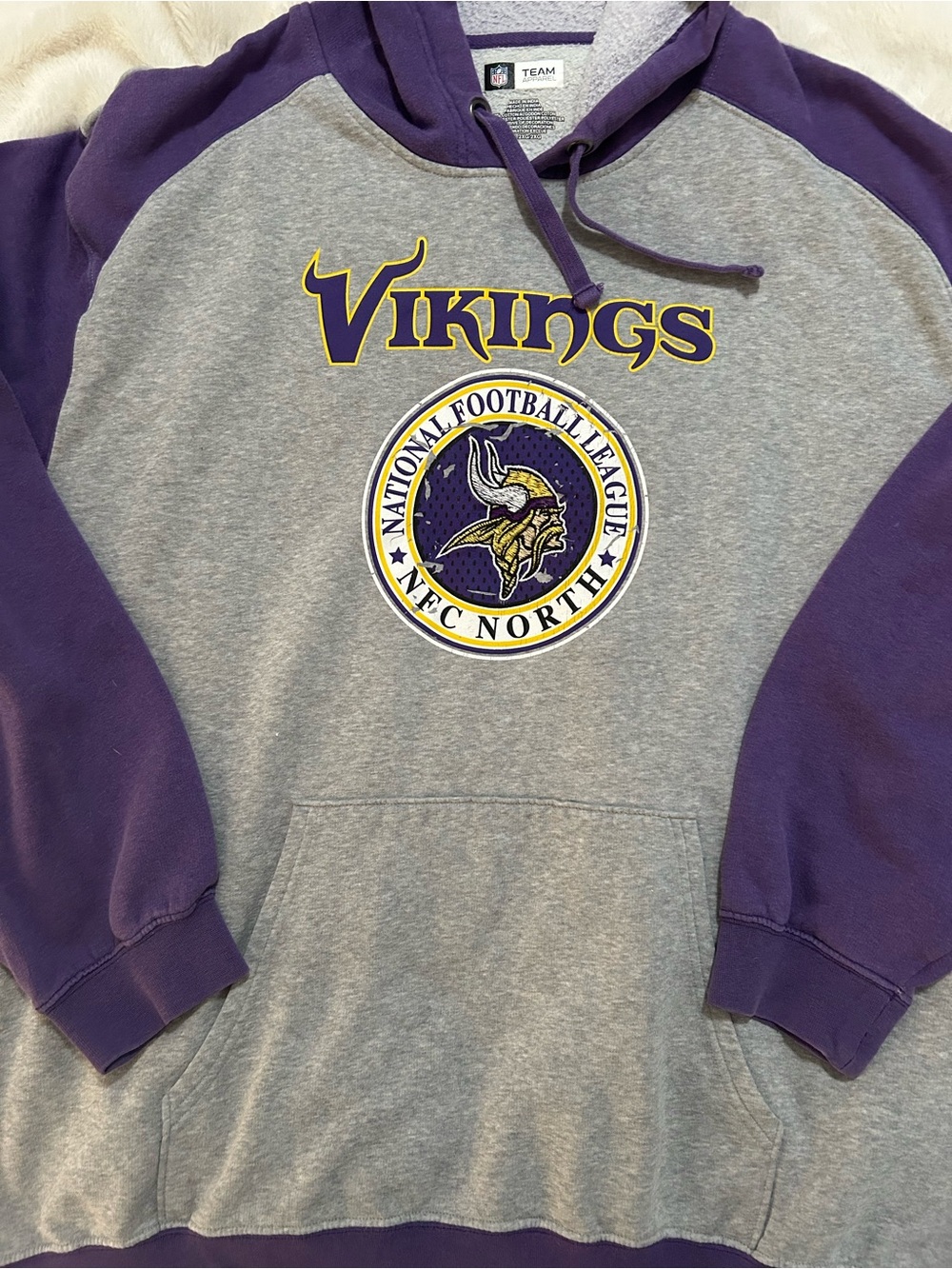 Minnesota Vikings NFL Team Apparel Hoodie SZ 2X